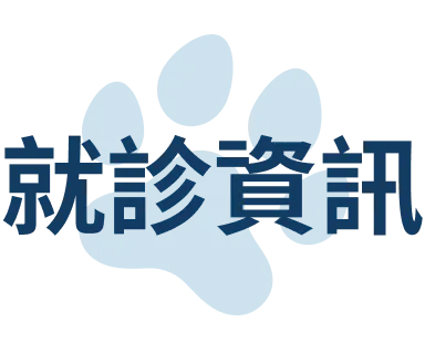 就診資訊